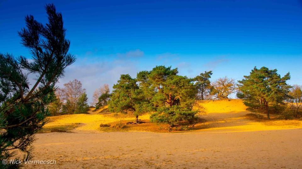 De Blauwe Maaten Neerglabbeek Exterior foto