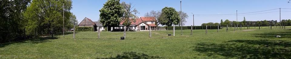 De Blauwe Maaten Neerglabbeek Exterior foto
