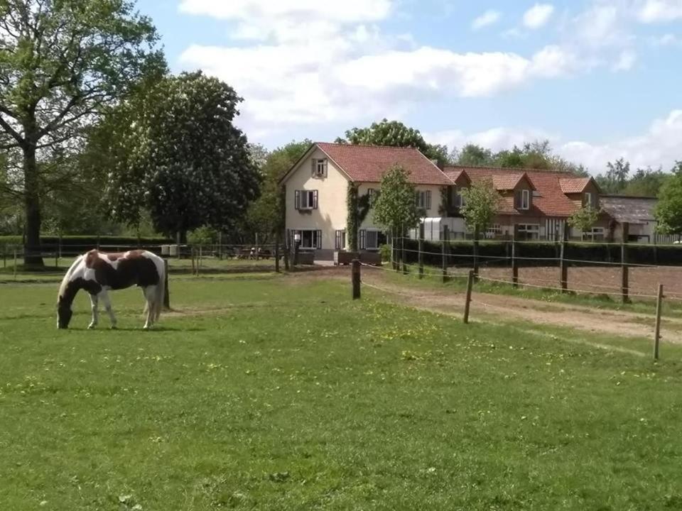 De Blauwe Maaten Neerglabbeek Exterior foto